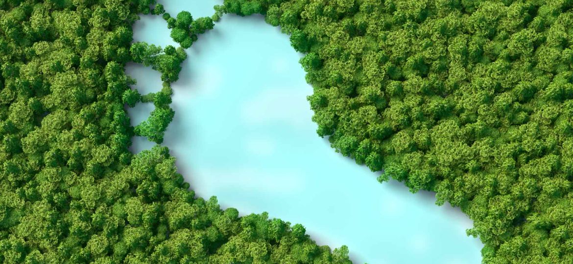 new_14_feature_web (Demo)