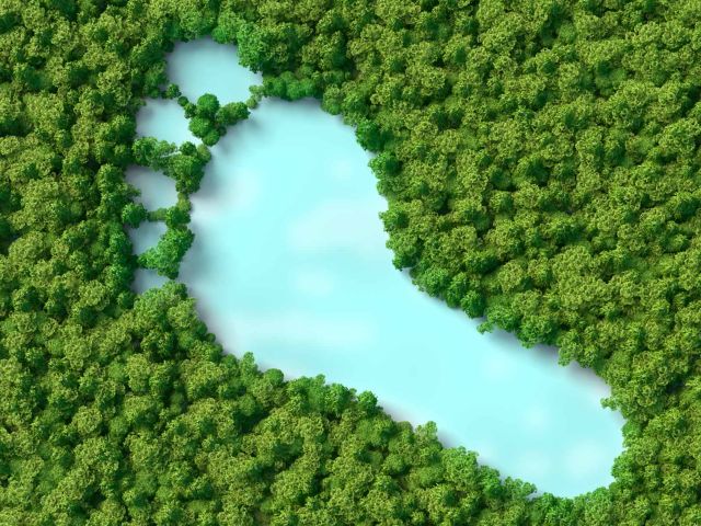 new_14_feature_web (Demo)